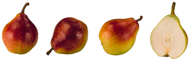 Birnen Clapps Liebling
