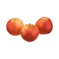 products/000000000004479882.png