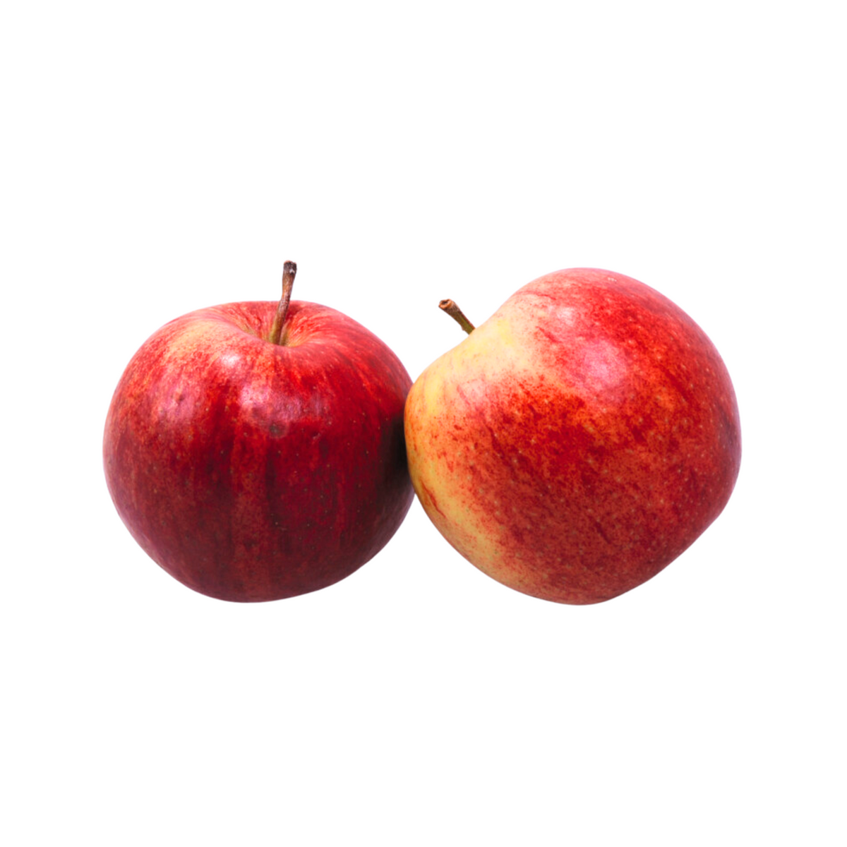 products/000000000004482437.png