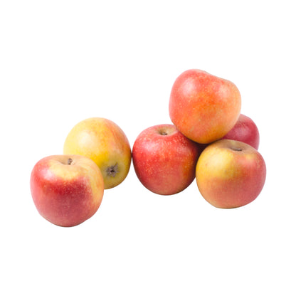 Äpfel Wellant