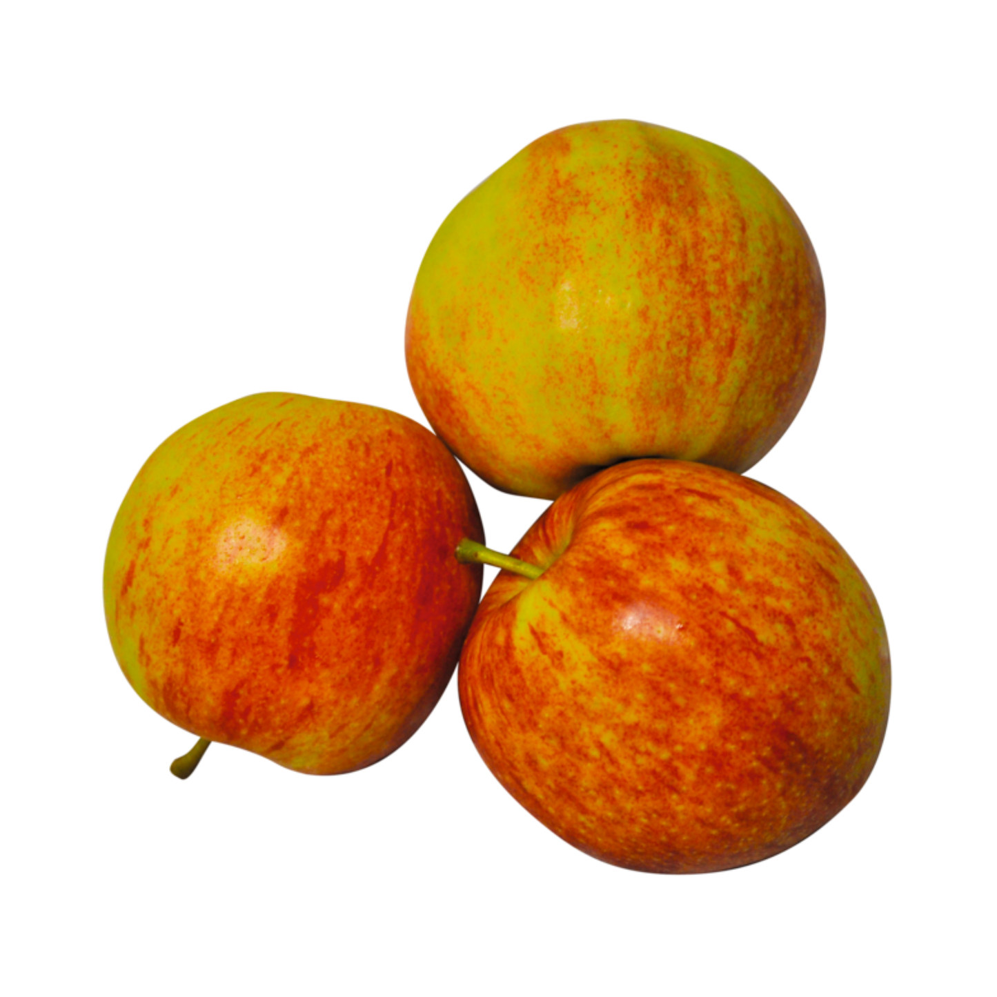 products/000000000004483003.png