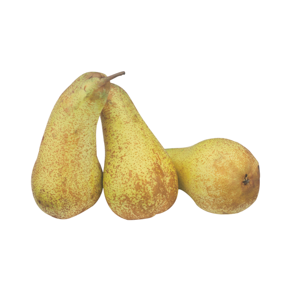 products/000000000004485887.png
