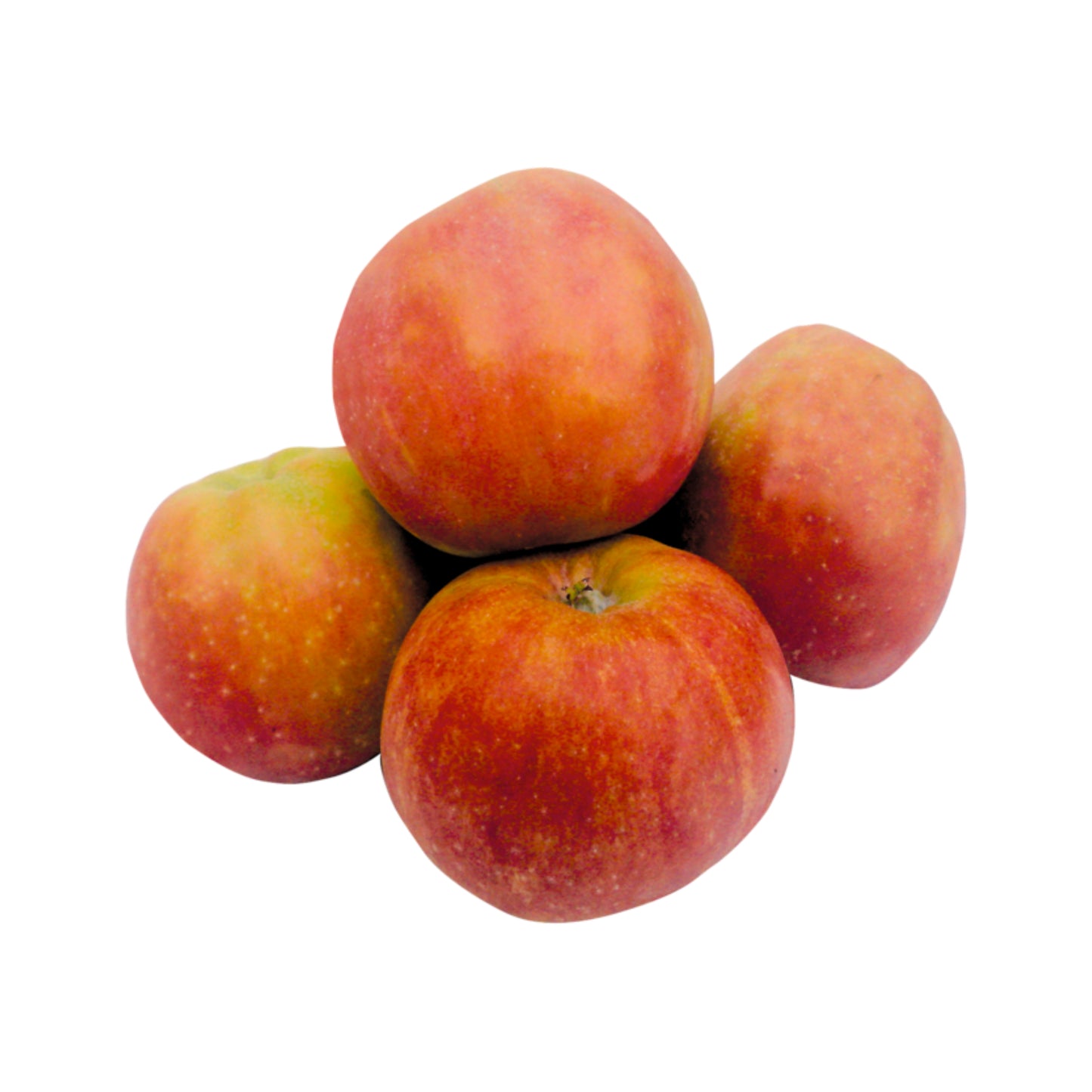 Äpfel Joya