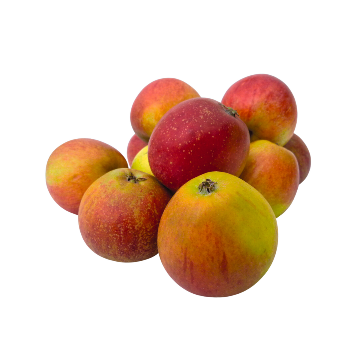 Äpfel Cox Orange