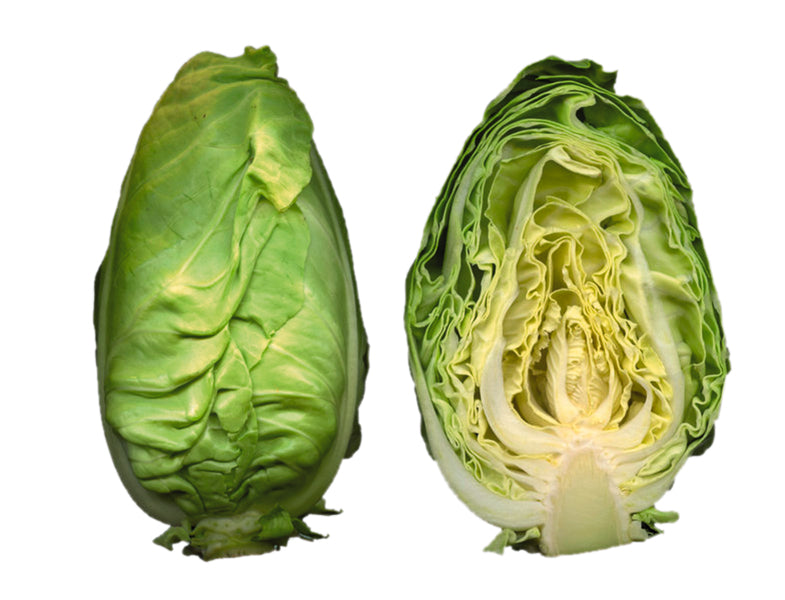 Bio Spitzkohl