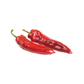 products/000000000004559177.png