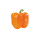 products/000000000004603340.png