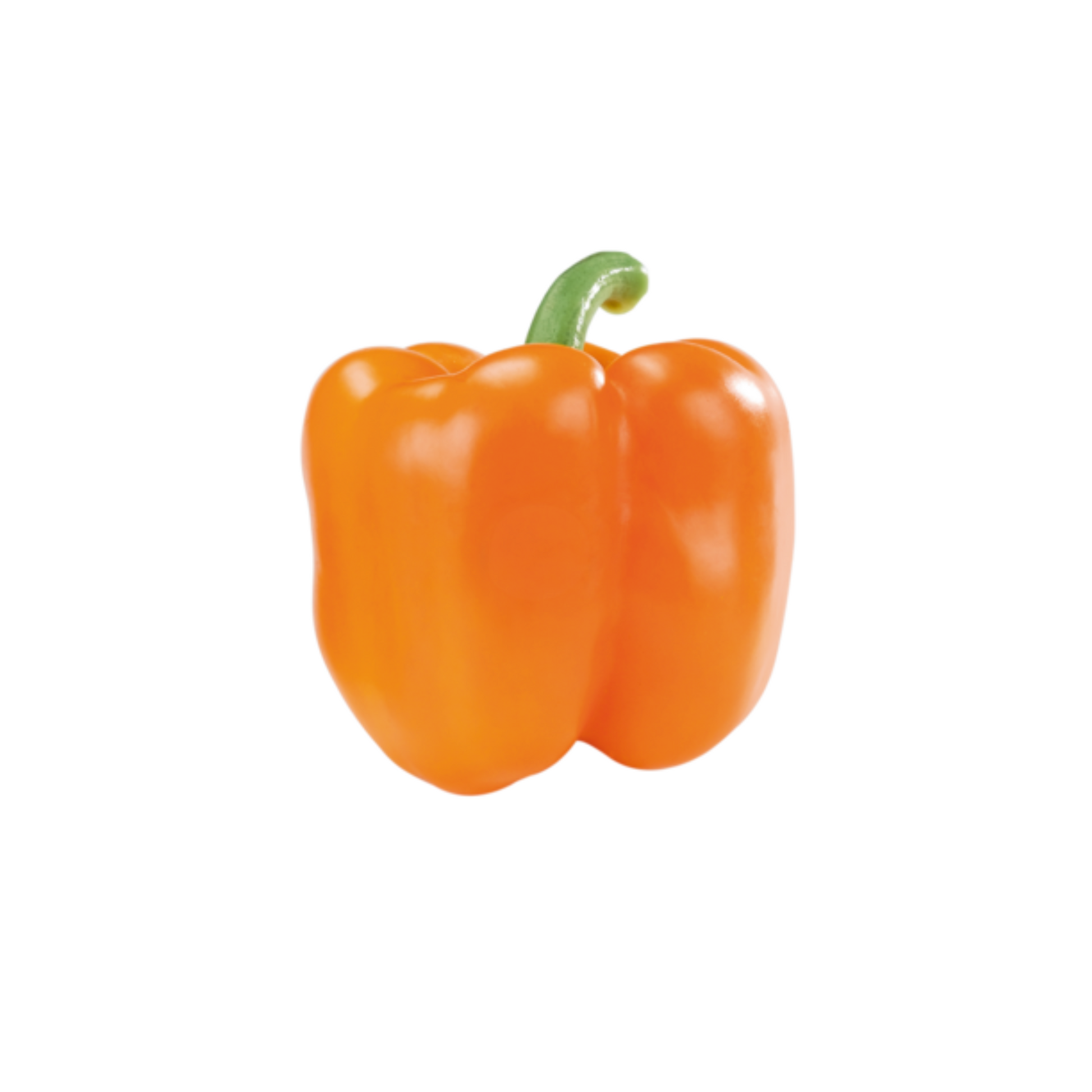 products/000000000004603340.png