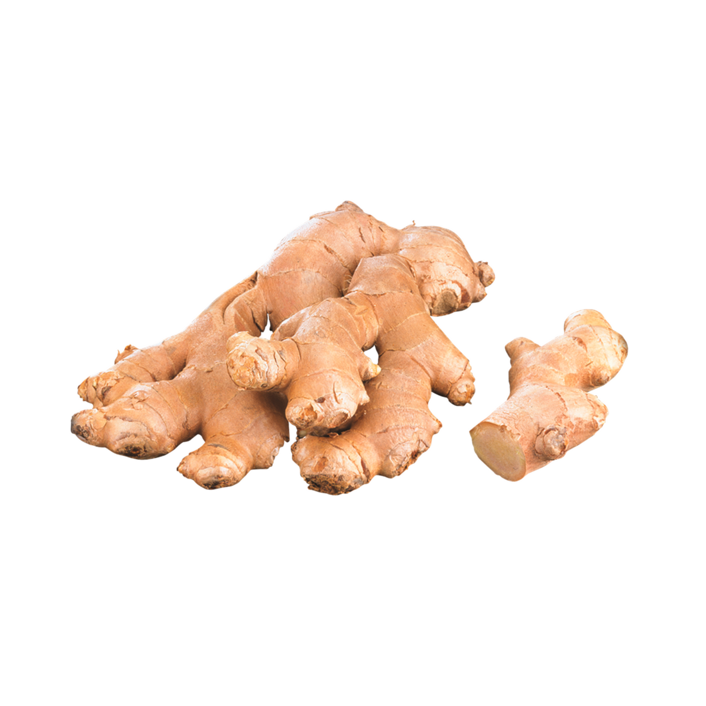 products/000000000004800172.png