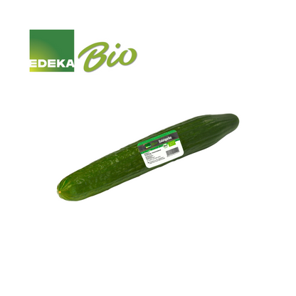 Bio Salatgurken 1 Stück