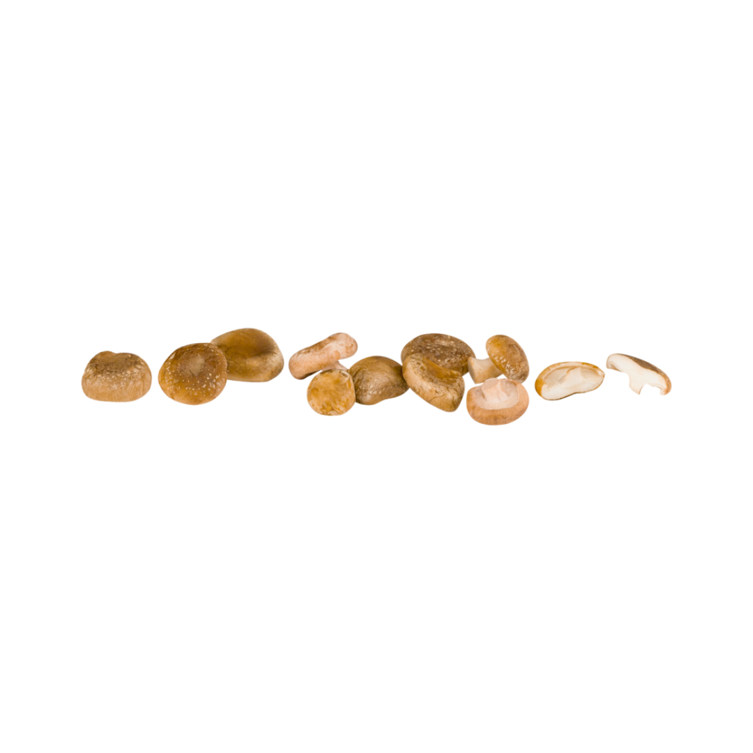 products/000000000004800578.png