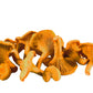 products/000000000004800608.jpg