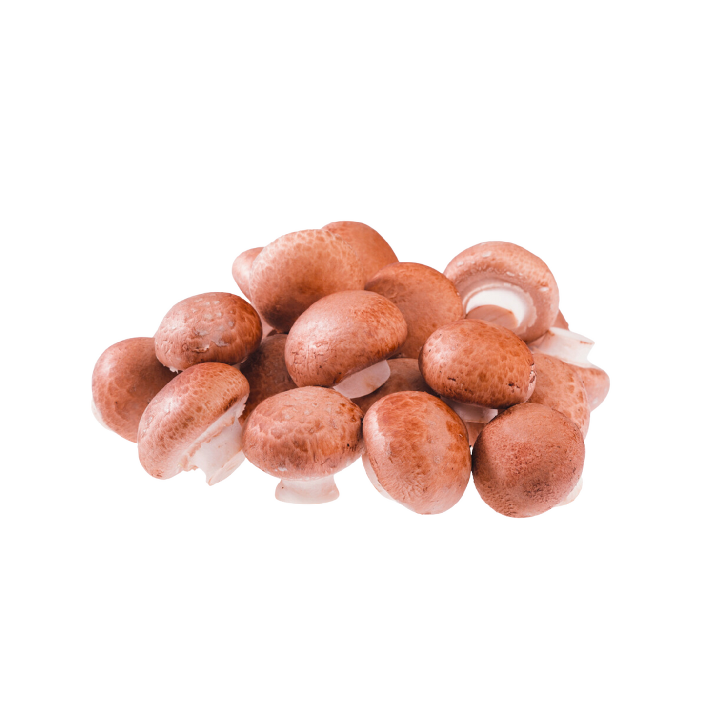 products/000000000004800646.png