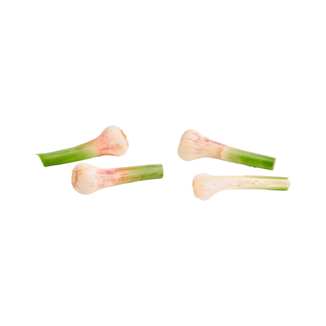 products/000000000004800684.png