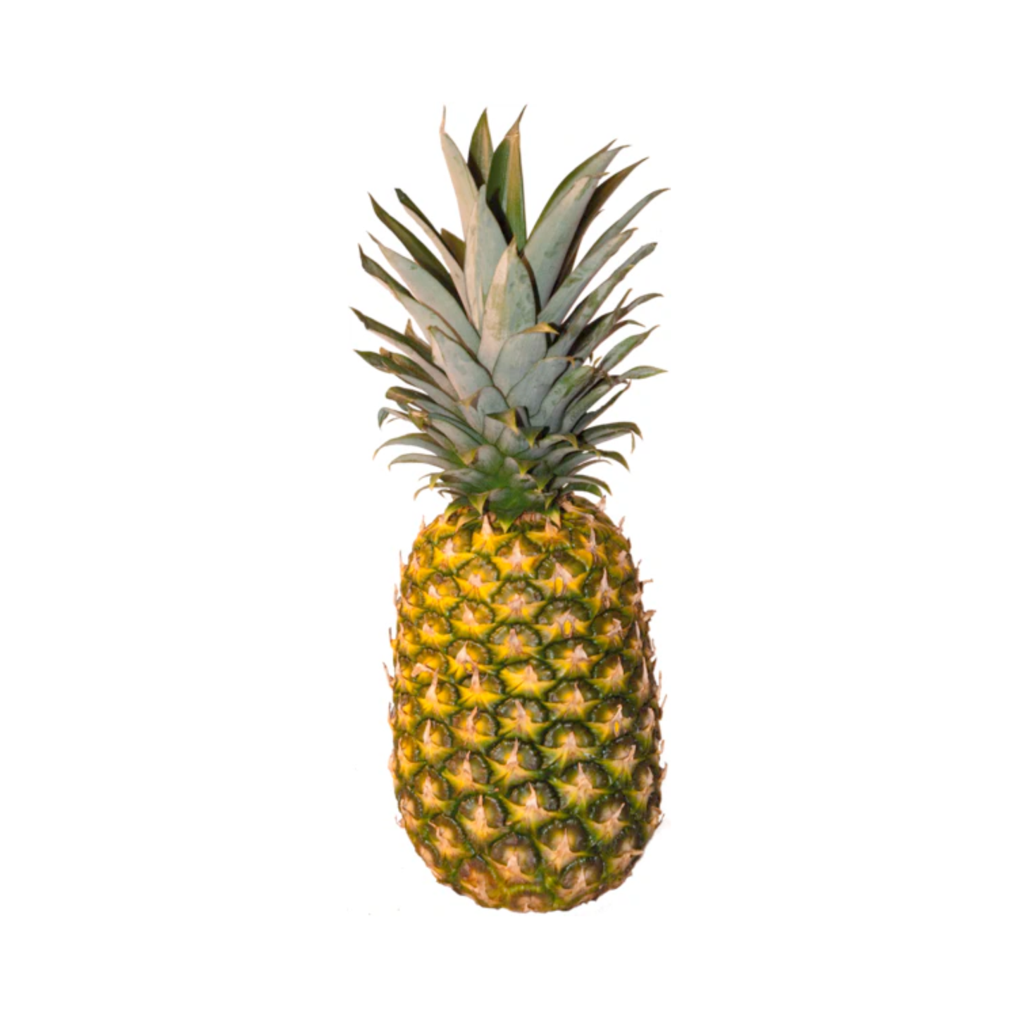 products/000000000004801090.png