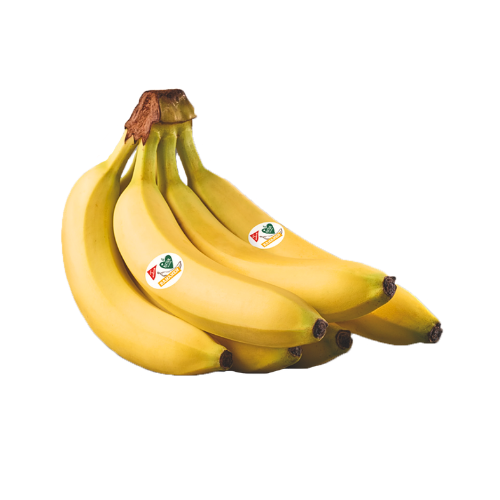 products/000000000004801137.png