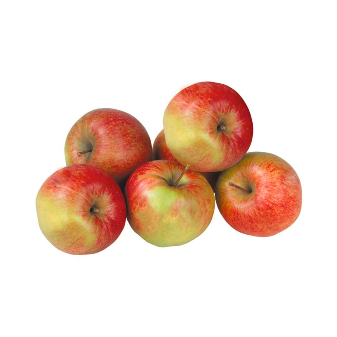 products/000000000004801649.png