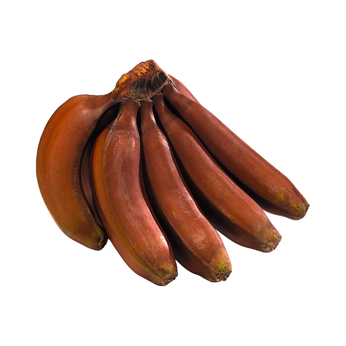 products/000000000004801960.png
