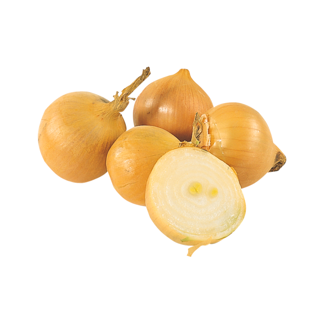 products/000000000004802062.png
