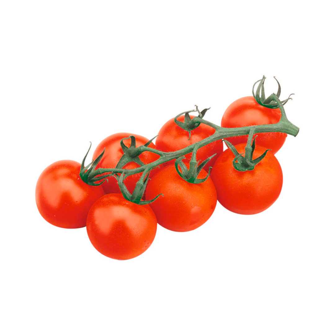 products/000000000004802192.png