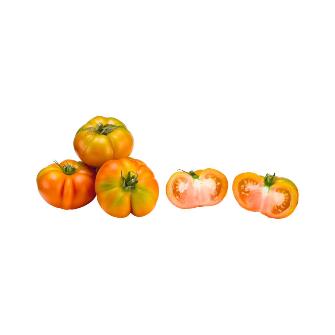 products/000000000004802239.png