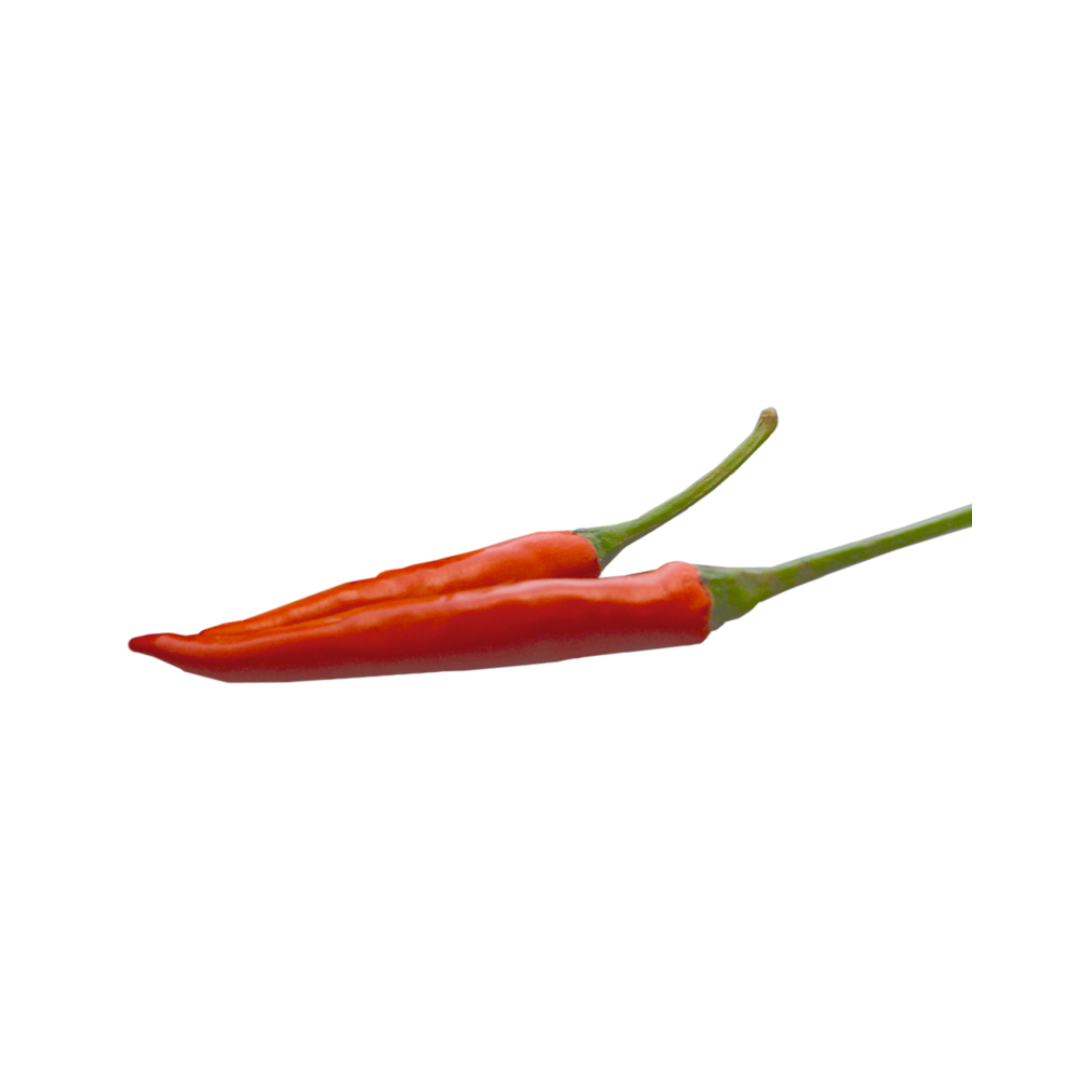 products/000000000004802291.png