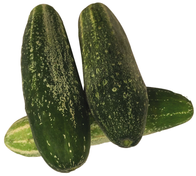 products/000000000004802482.jpg