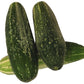 products/000000000004802482.jpg