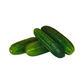 products/000000000004802499.png
