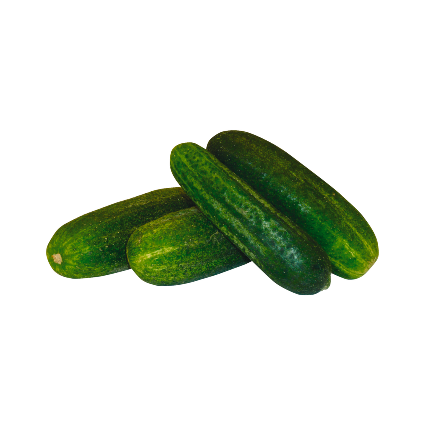products/000000000004802499.png