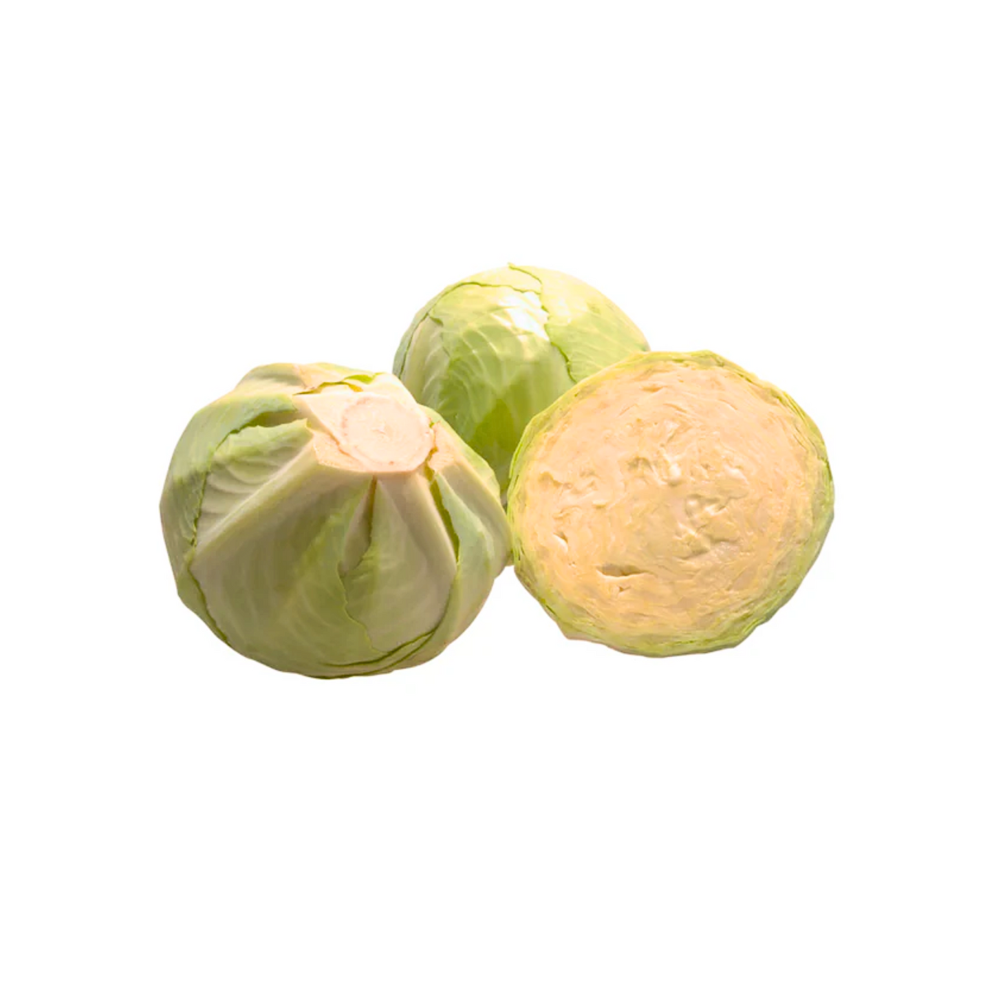 products/000000000004802512.png
