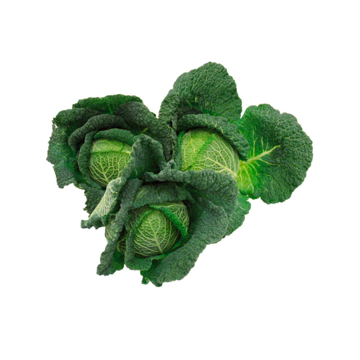 products/000000000004802581.png