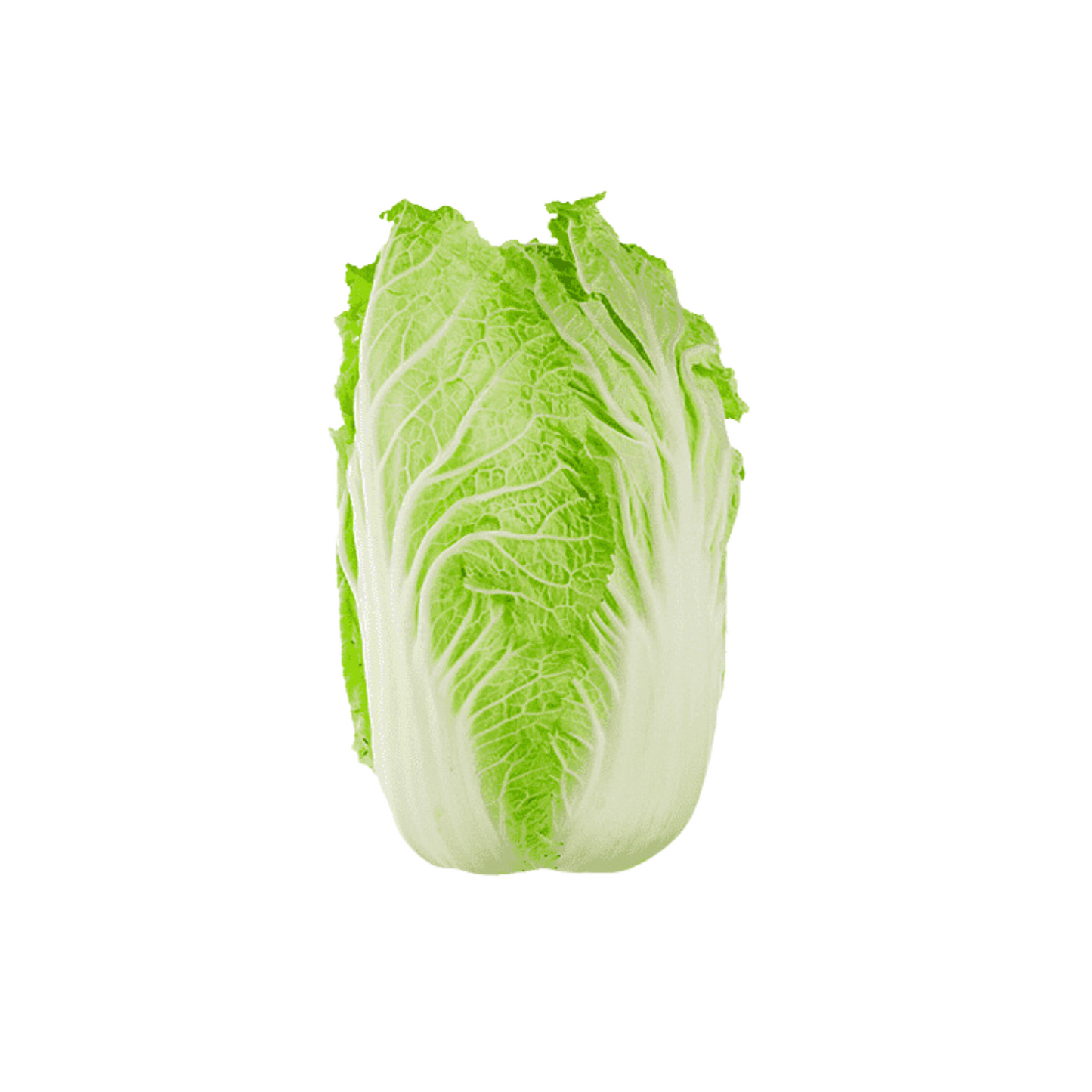 products/000000000004802598.png