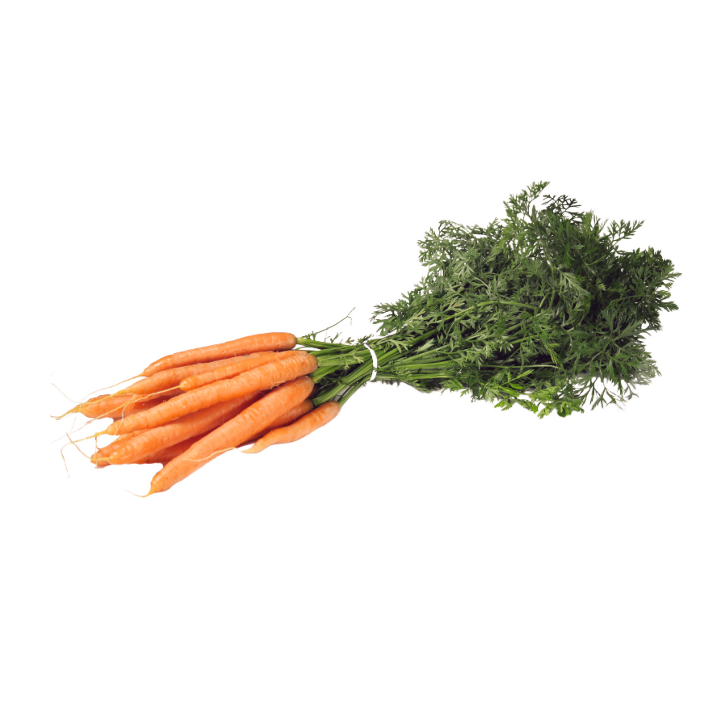 products/000000000004802642.png