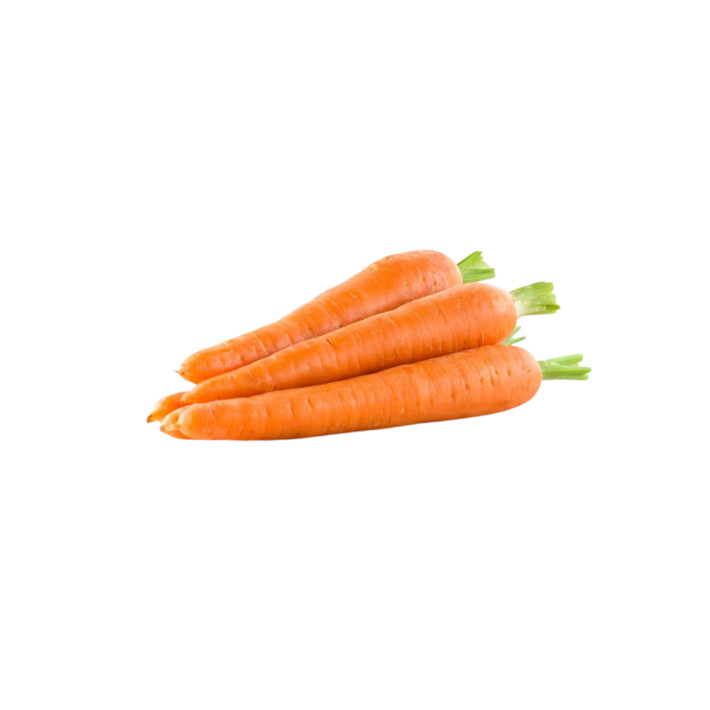 products/000000000004802659.png