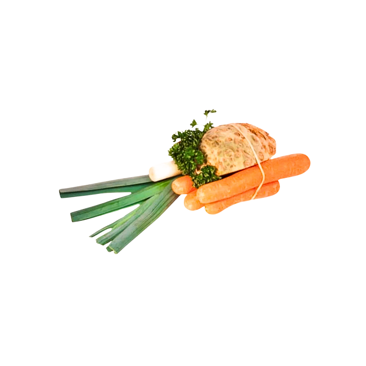 Suppengrün groß Bund
