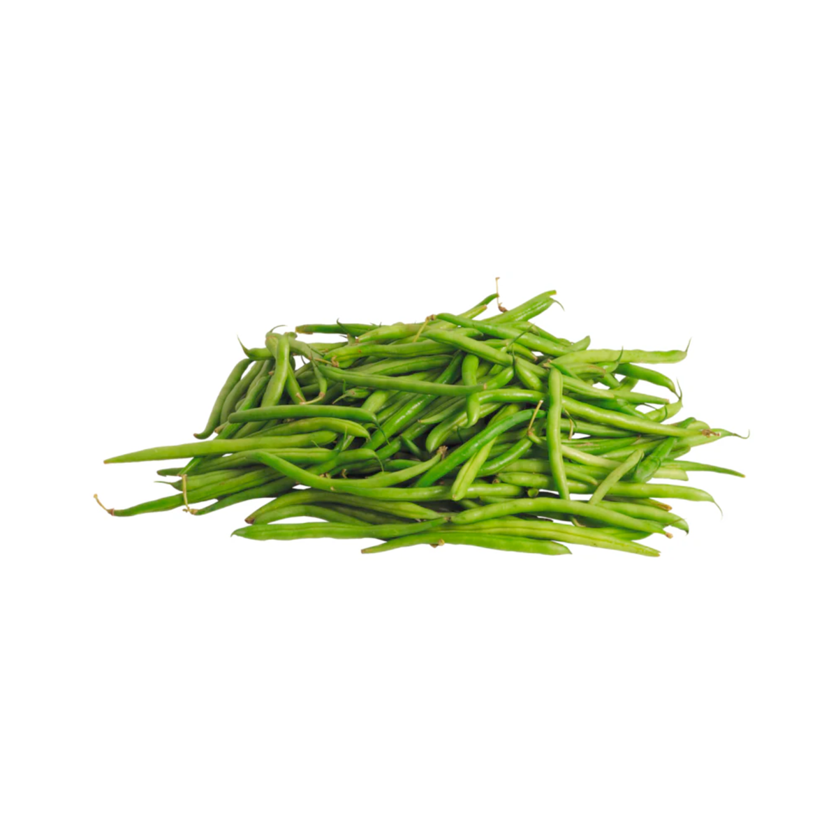 products/000000000004802925.png