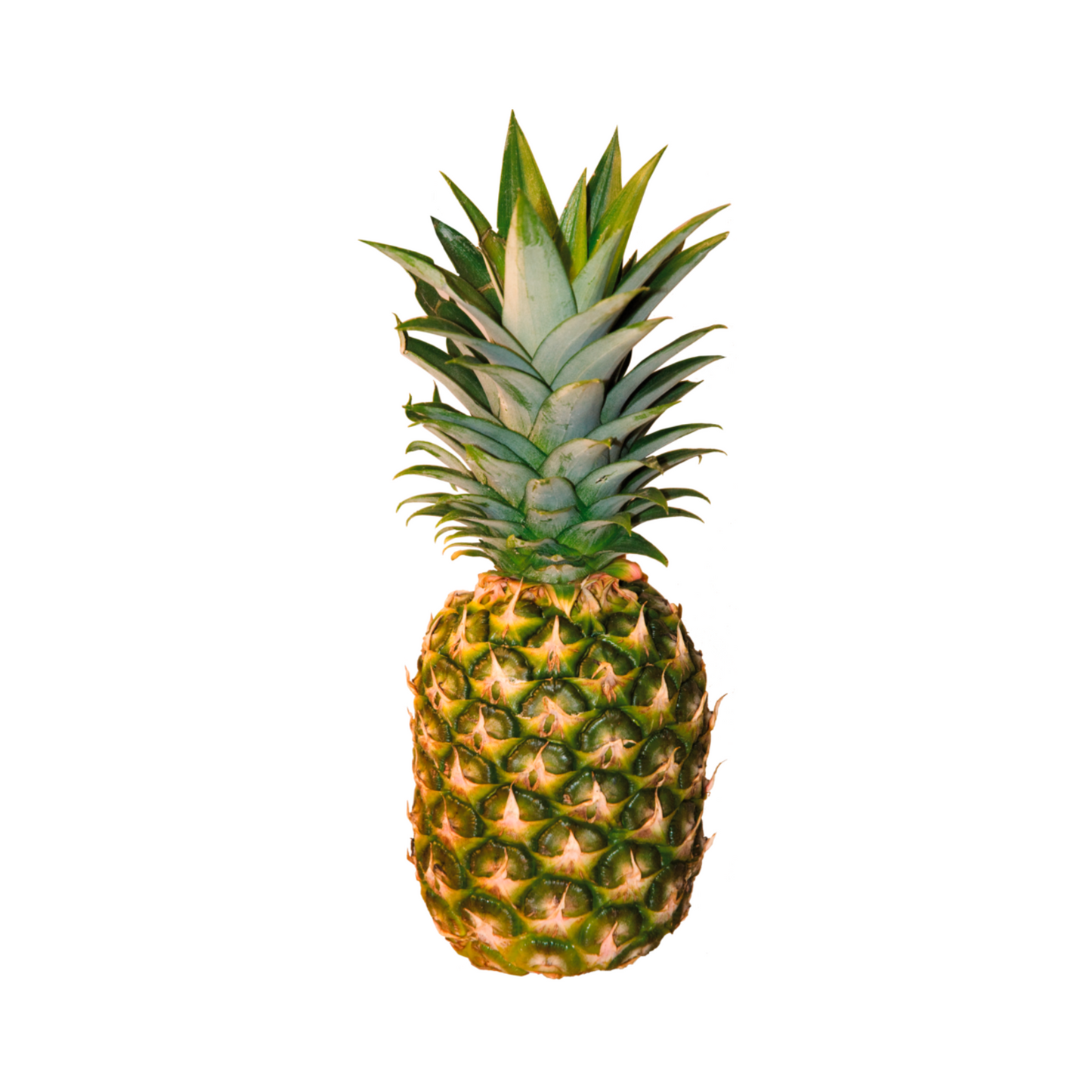 products/000000000004803430.png