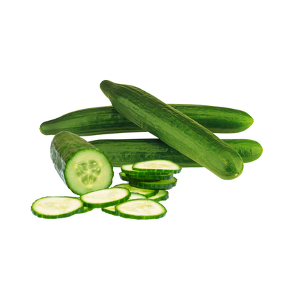 Salatgurken 400g+