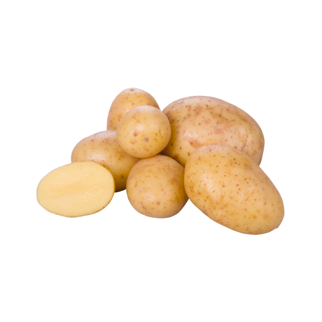 products/000000000004803676.png