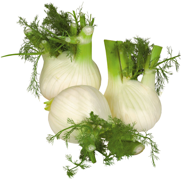 products/000000000004803706.jpg