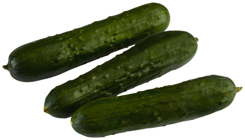 products/000000000004803782.jpg