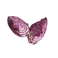 products/000000000004804136.png