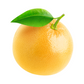 products/000000000004804174.png