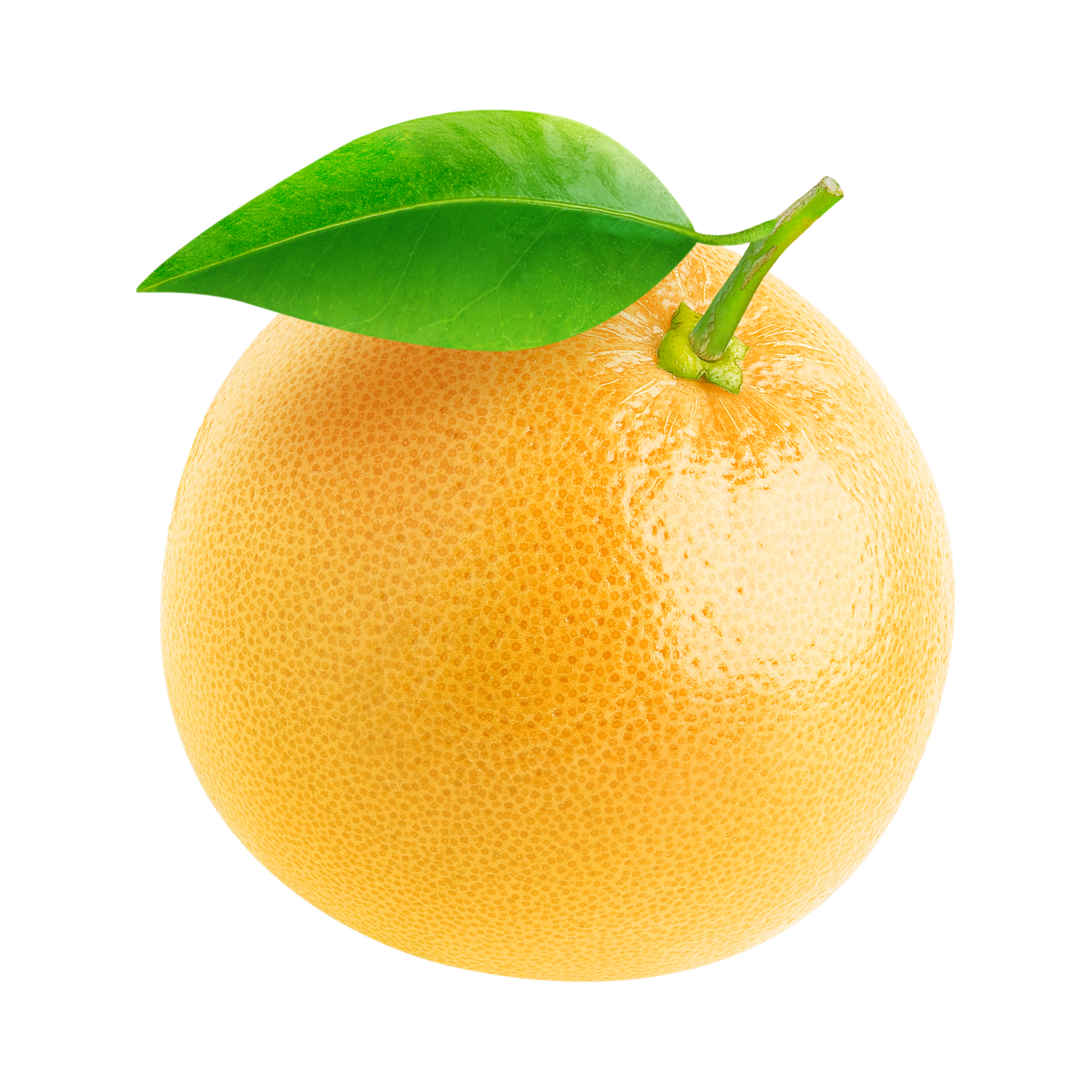products/000000000004804174.png