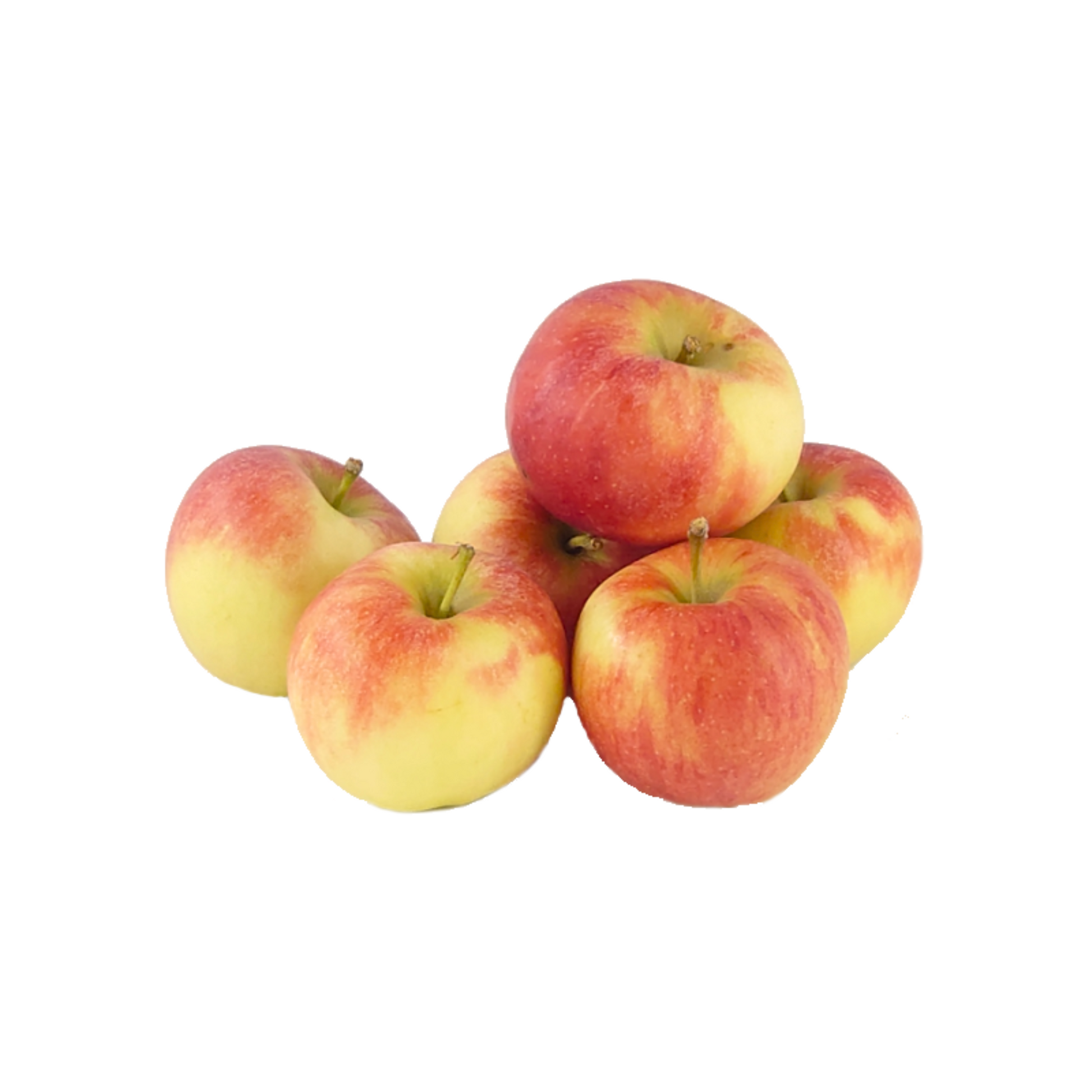 products/000000000004804334.png