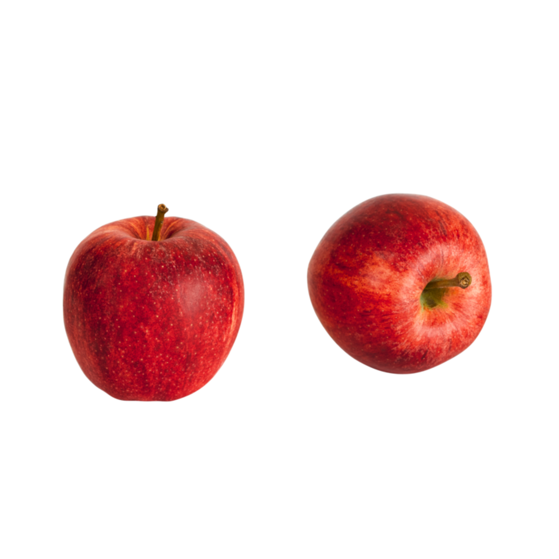 products/000000000004804365.png