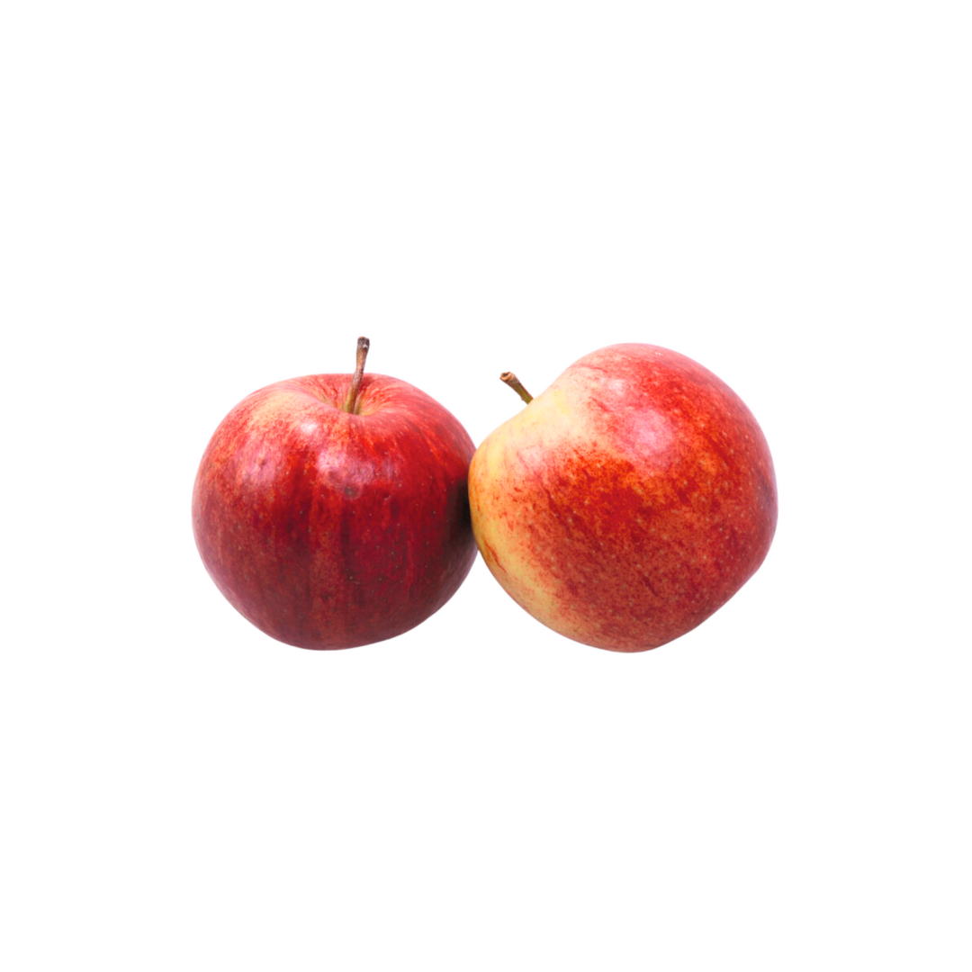products/000000000004804570.png