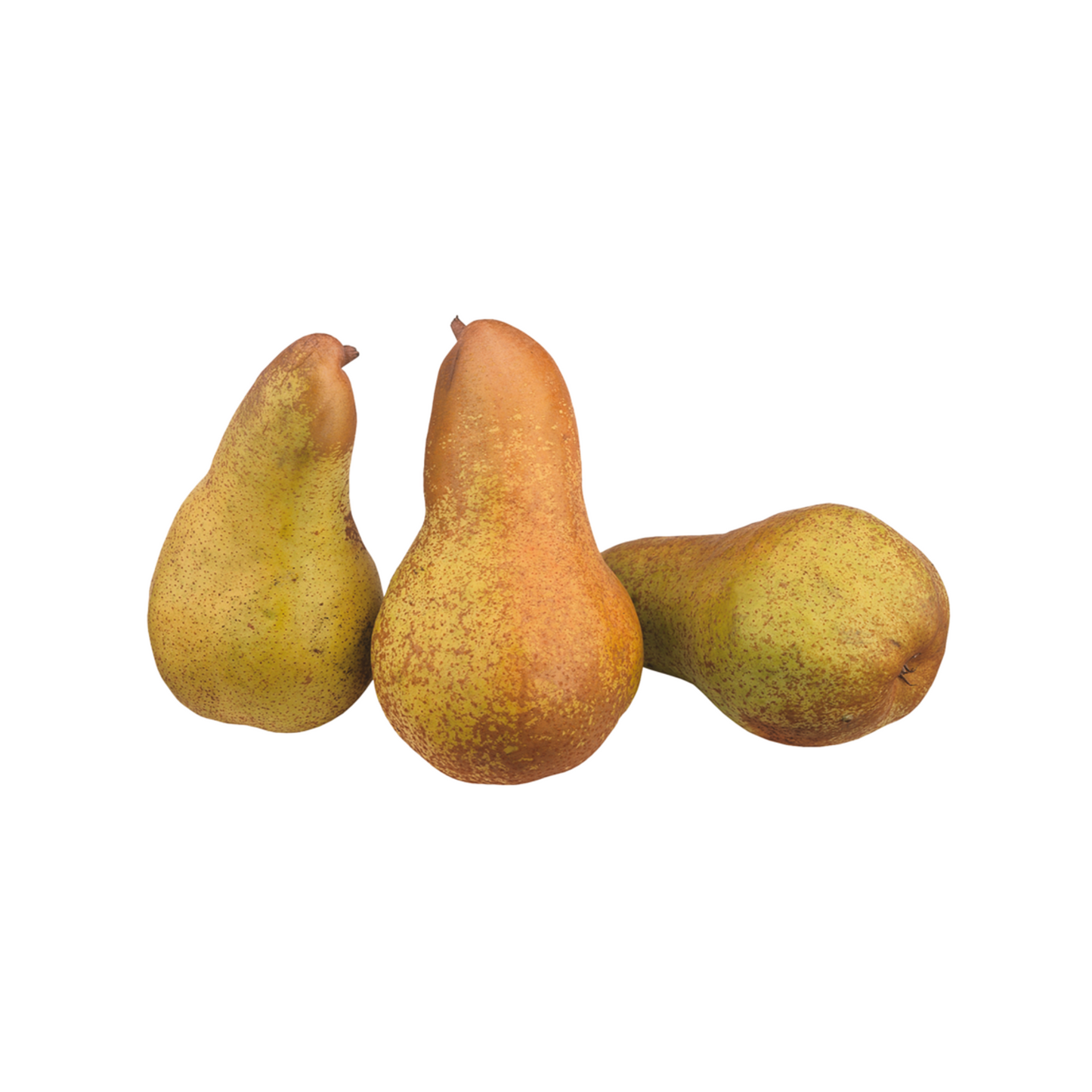 products/000000000004804709.png