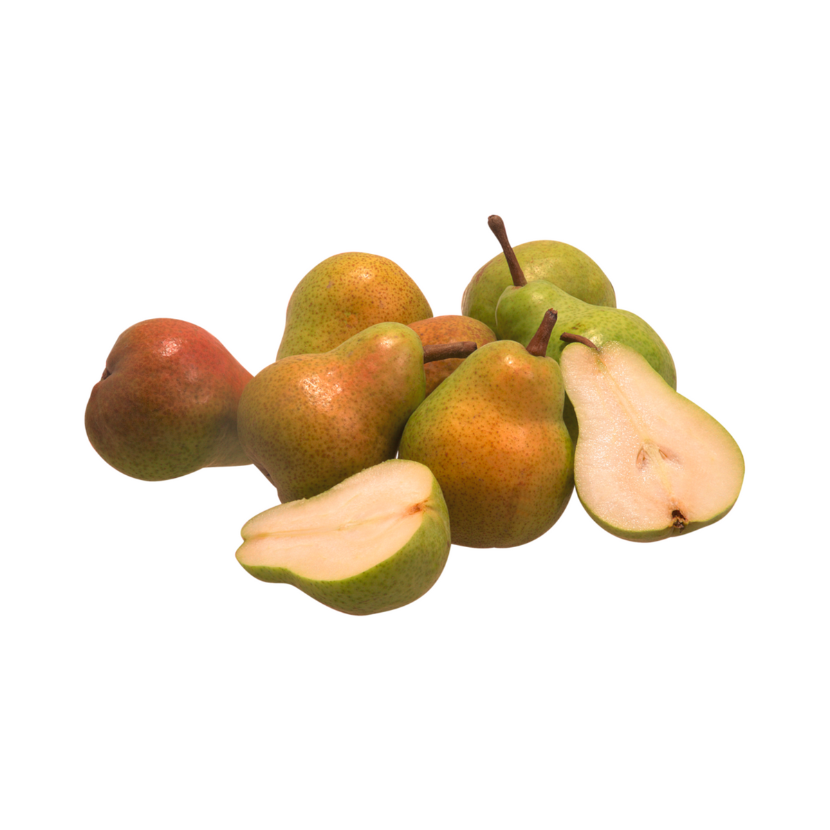 products/000000000004804716.png